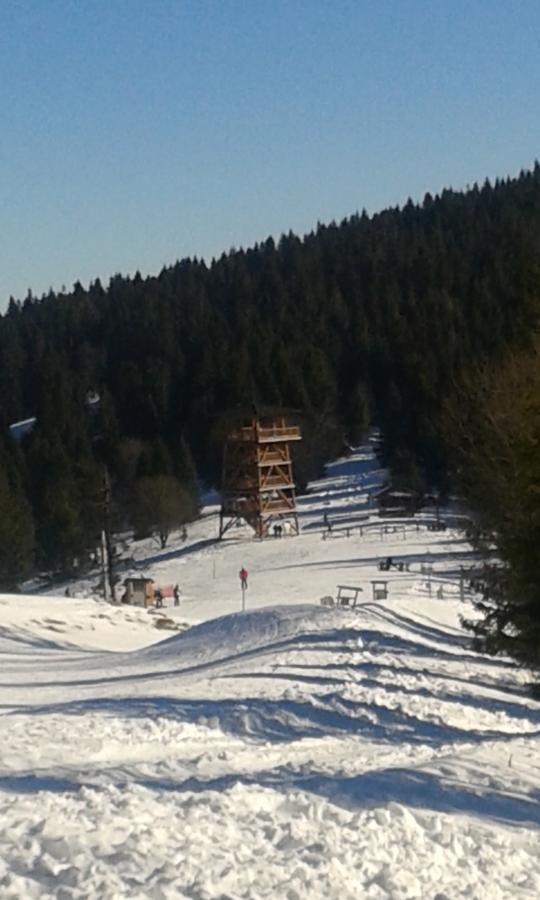 Ubytovanie Sokolica Červený Kláštor Exterior foto